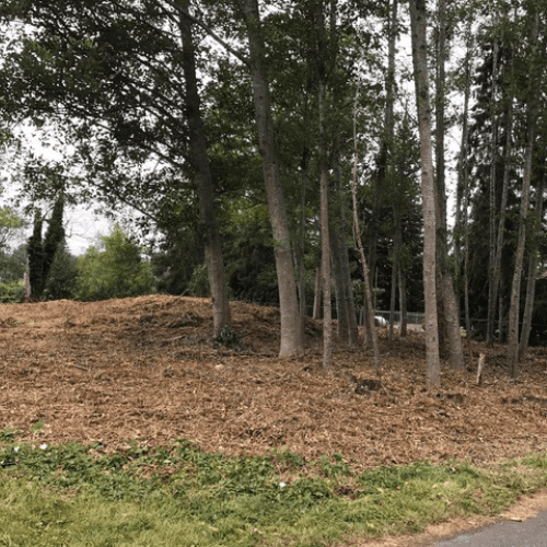 land clearing and brush removal services